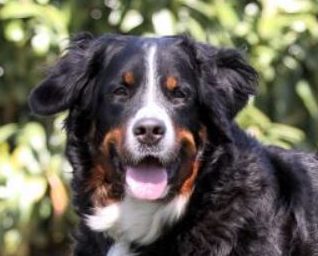 (c) Marion Thonhofer