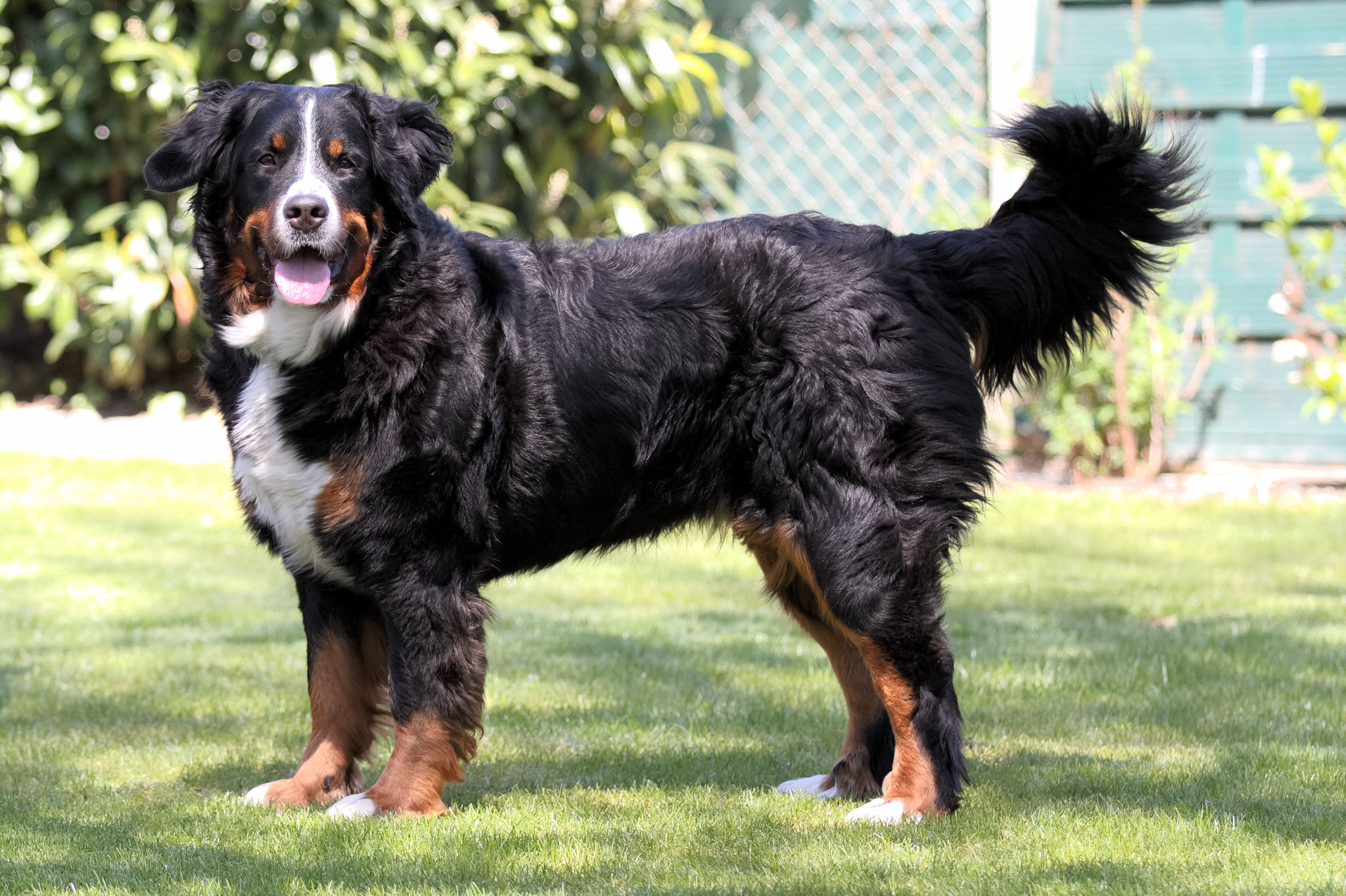 (c) Marion Thonhofer