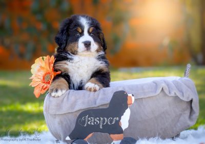 (c) Marion Thonhofer