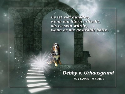 (c) Marion Thonhofer