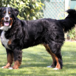 (c) Marion Thonhofer