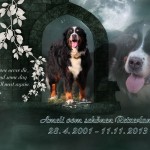 (c) Marion Thonhofer