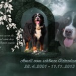 (c) Marion Thonhofer