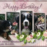 (c) Marion Thonhofer