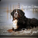 (c) Marion Thonhofer