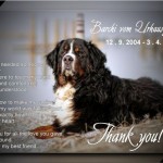 (c) Marion Thonhofer