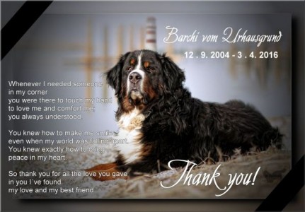 (c) Marion Thonhofer