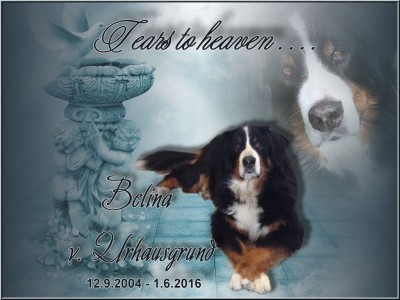 (c) Marion Thonhofer