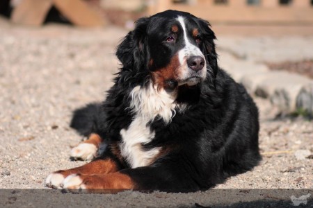 (c) Marion Thonhofer