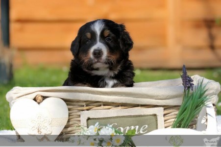 (c) Marion Thonhofer