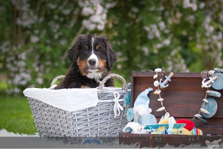 Hanny Hanny (c) Marion Thonhofer