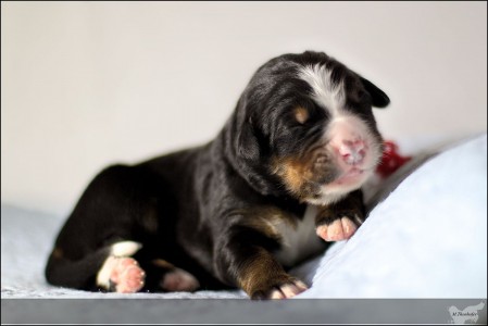 (c) Marion Thonhofer