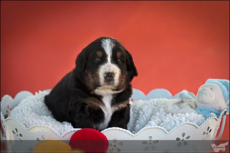 (c) Marion Thonhofer