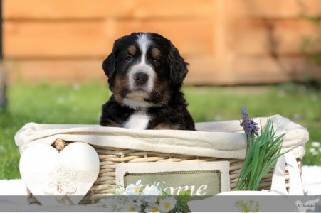 (c) Marion Thonhofer