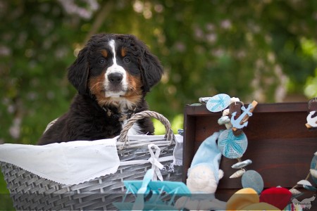 Happy Happy (c) Marion Thonhofer