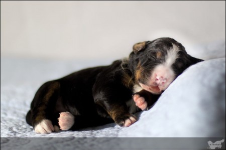 (c) Marion Thonhofer