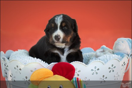 (c) Marion Thonhofer