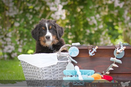 Herbi Herbi (c) Marion Thonhofer