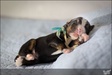 (c) Marion Thonhofer