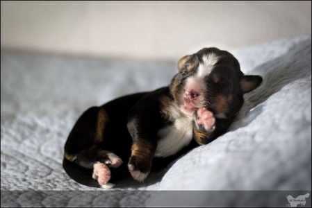 (c) Marion Thonhofer