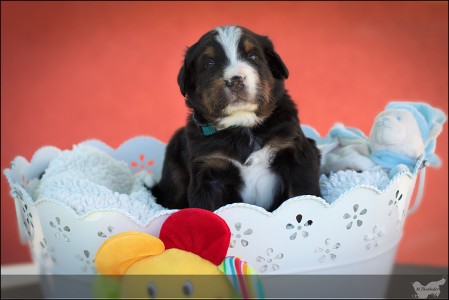 (c) Marion Thonhofer