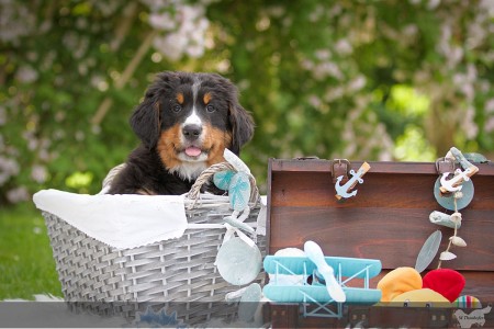 Hubsi Hubsi (c) Marion Thonhofer