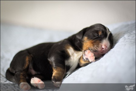 (c) Marion Thonhofer