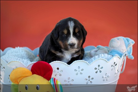 (c) Marion Thonhofer