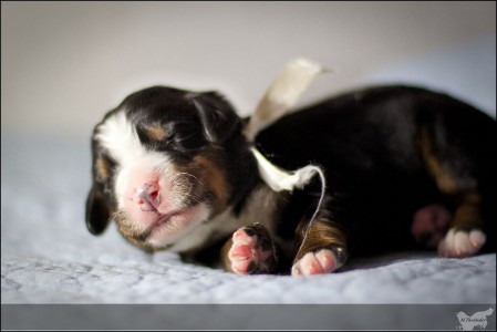 (c) Marion Thonhofer