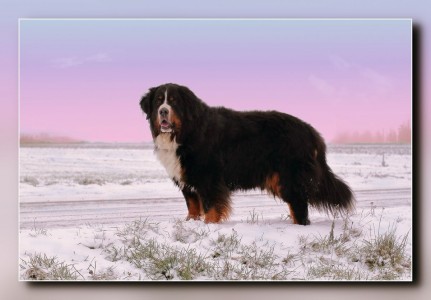 (c) Marion Thonhofer