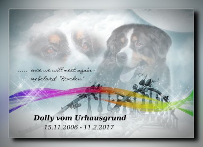 (c) Marion Thonhofer