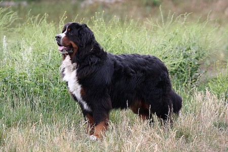 (c) Marion Thonhofer