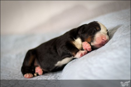 (c) Marion Thonhofer