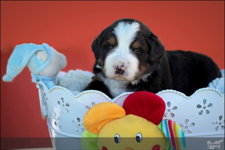 (c) Marion Thonhofer