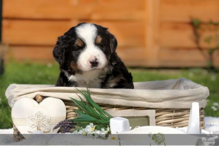 (c) Marion Thonhofer