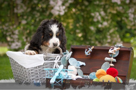 Idysseus Idysseus (c) Marion Thonhofer