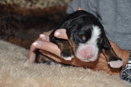 (c) Marion Thonhofer