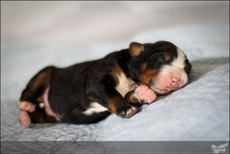 (c) Marion Thonhofer