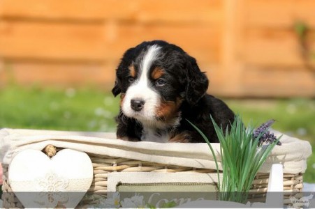 (c) Marion Thonhofer