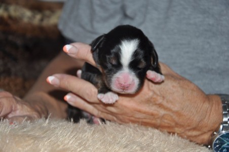 (c) Marion Thonhofer