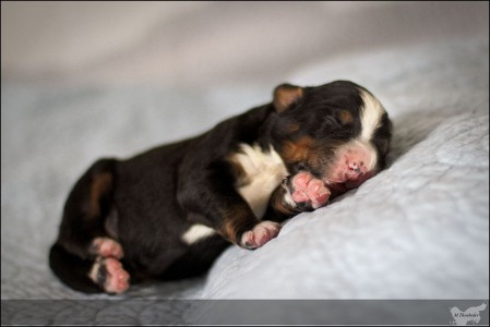 (c) Marion Thonhofer