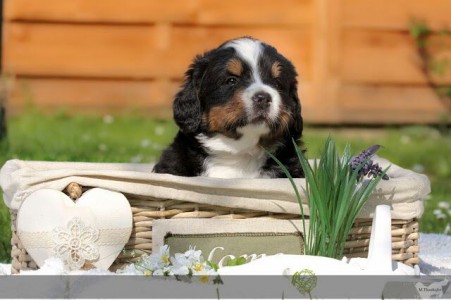 (c) Marion Thonhofer