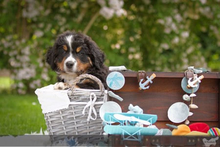 Irina Irina (c) Marion Thonhofer