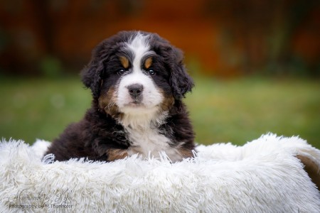 (c) Marion Thonhofer