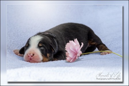 (c) Marion Thonhofer