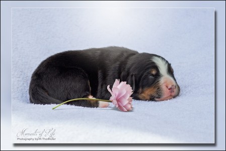 (c) Marion Thonhofer