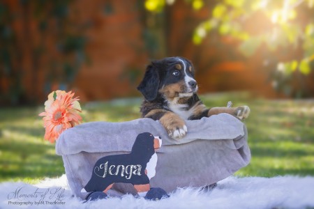 Jenga (c) Marion Thonhofer