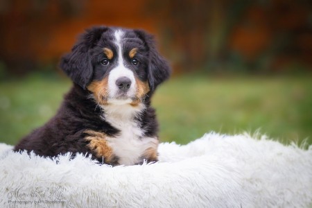 (c) Marion Thonhofer