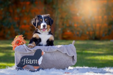 Jiam (c) Marion Thonhofer