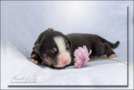 (c) Marion Thonhofer